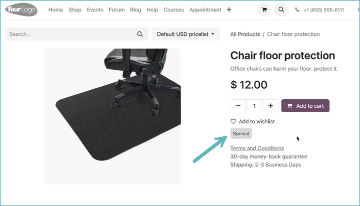 Odoo 17 - Link E-commerce App labels