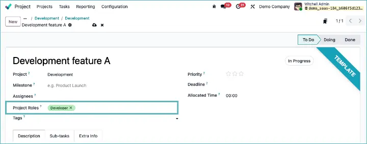 Odoo project roles